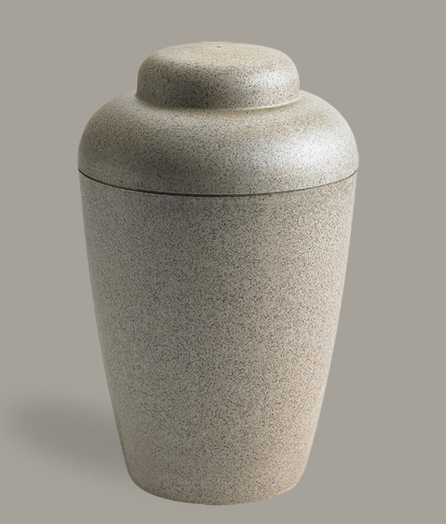 20043 Memory natururne beige A4